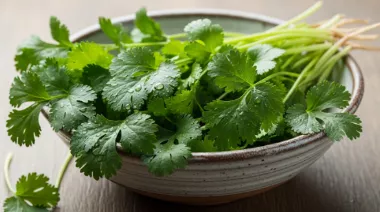 garnishing-instructions-image